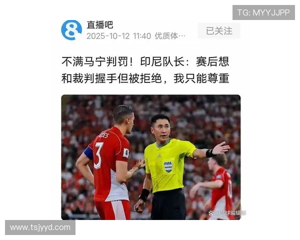 沙媒：马宁赛后被冲撞已提交亚足联